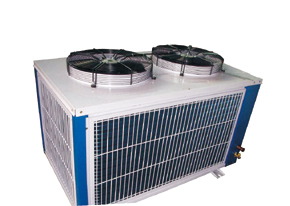 ��ʽ����