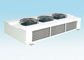 ����˫�������