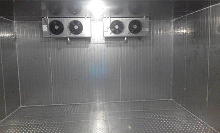 �깤������6��